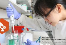 GAPDH antibodies and recombinant antigens: an investigative tool plus loading control in clinical research.