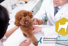 Veterinary Diagnostics: antibodies and antigens for immunoassay development for several animal diseases from Advanced ImmunoChemical.
