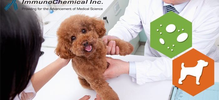 Canine C-reactive Protein (cCRP): biomarker for systemic inflammation and tissue damage, particularly in neoplastic and immune-mediated diseases.