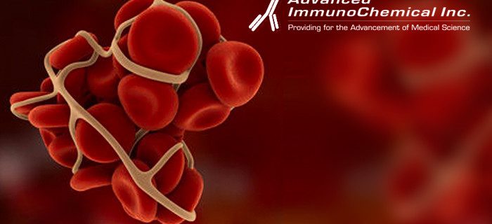 New D-dimer monoclonal antibodies: improved immunoassay equally specific for FDPs and D-dimer.